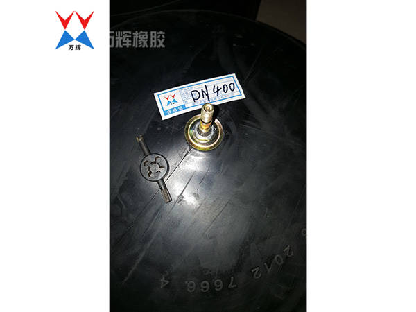 閉水實(shí)驗(yàn)氣囊